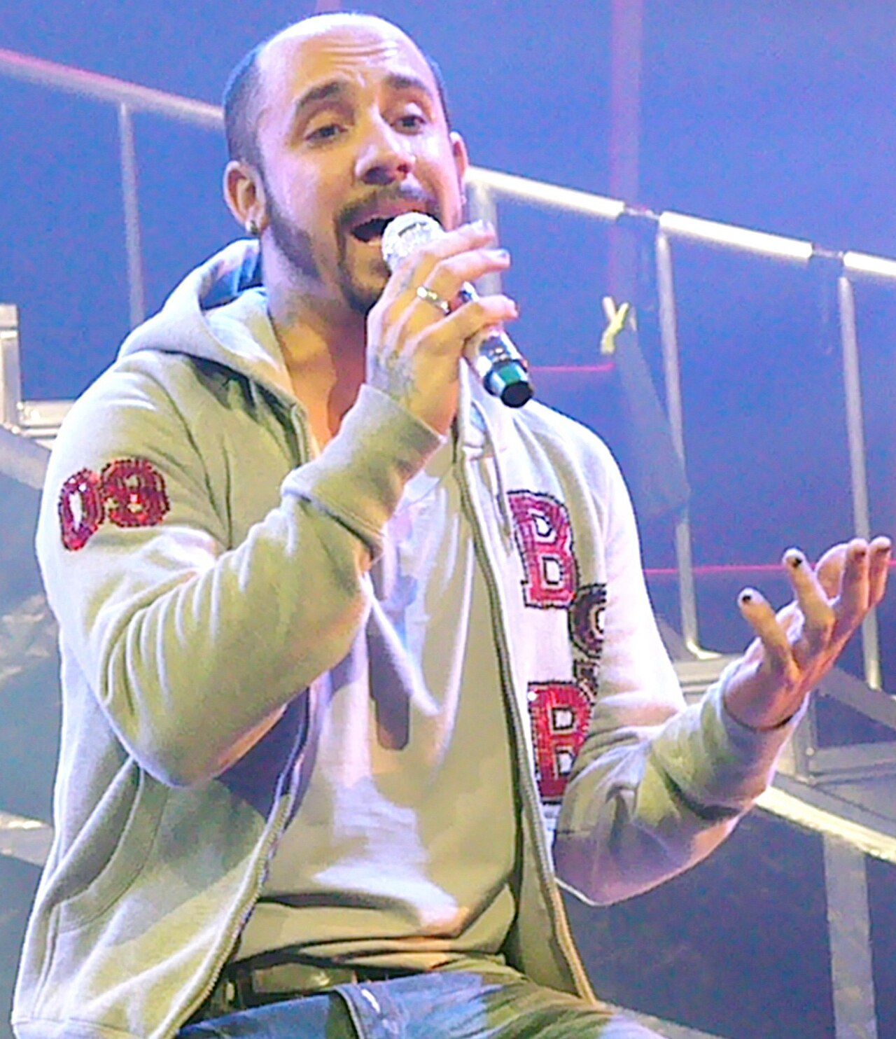 Audience at a AJ McLean concert